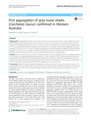 First Aggregation of Grey Nurse Sharks (Carcharias Taurus) Confirmed in Western Australia Alexandra M