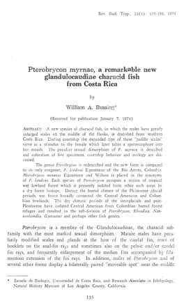 A Remarkable New Glandulocaudine Characid Fish from Costa R'ica