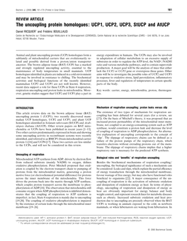 The Uncoupling Protein Homologues: UCP1, UCP2, UCP3, Stucp