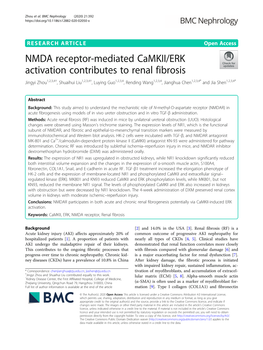 NMDA Receptor-Mediated Camkii/ERK Activation Contributes