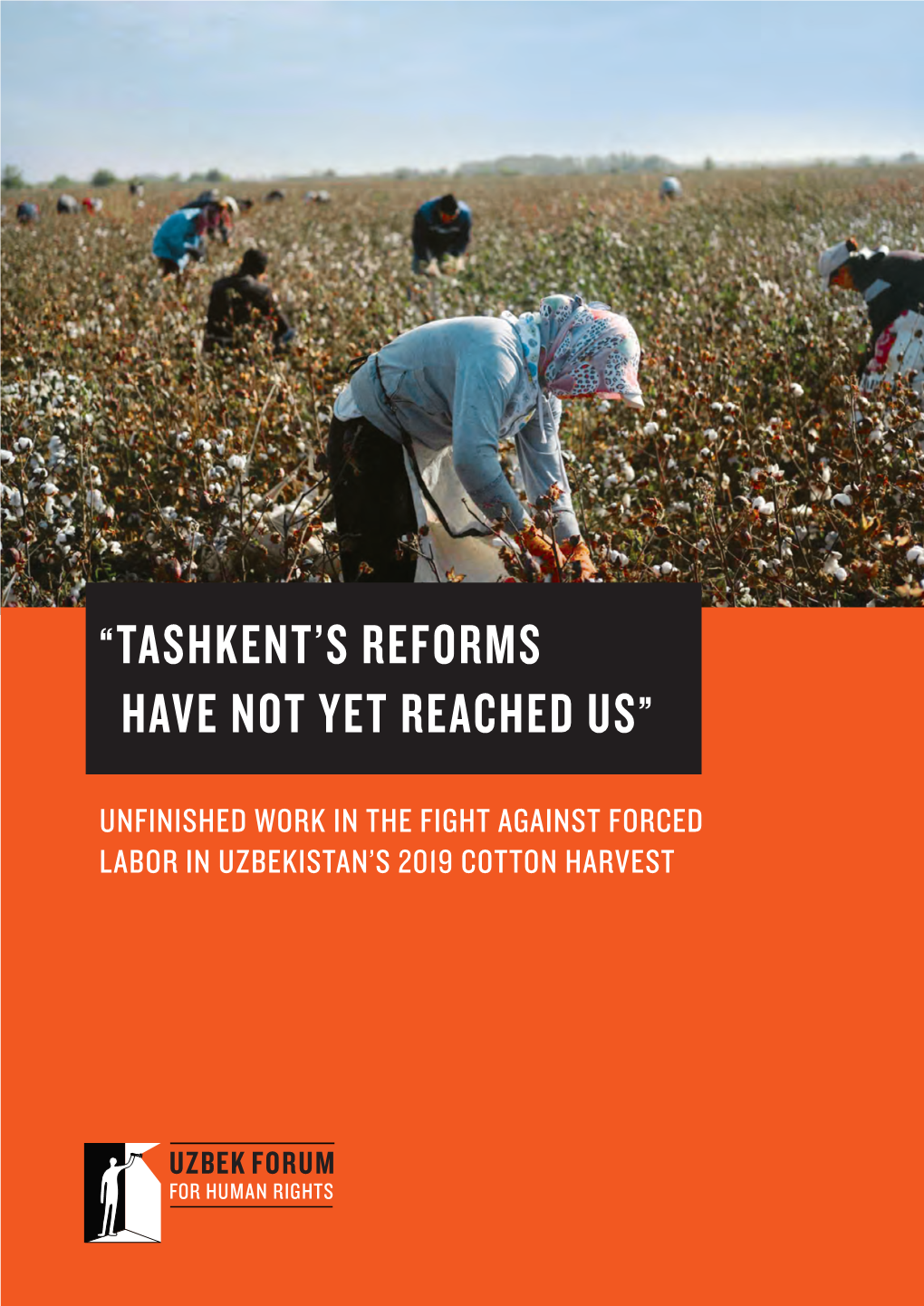 “Tashkent's Reforms Have Not