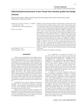 'Persian' Lime Selections Grafted Onto Swingle Citrumelo