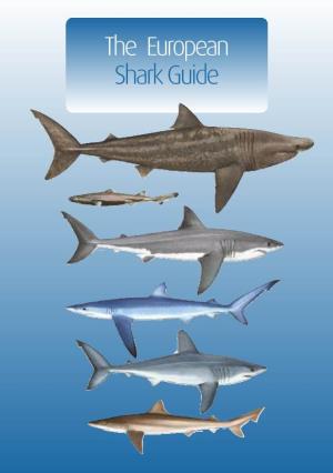 European Shark Guide