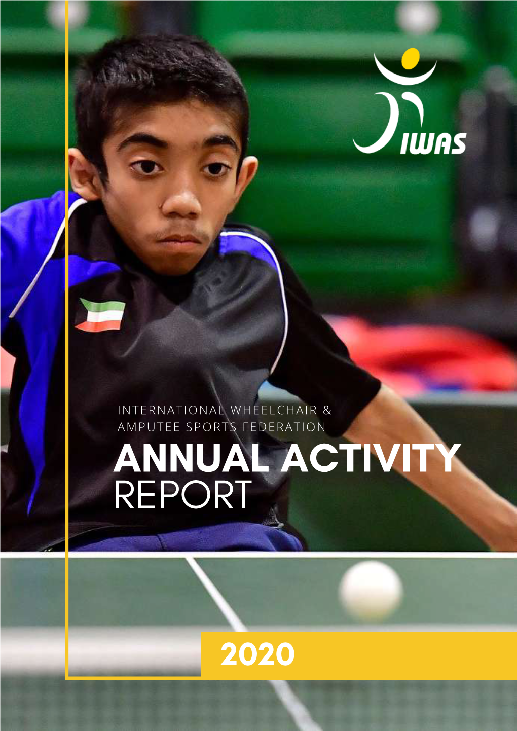 Annual Activity Report