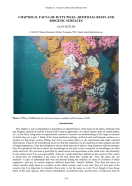 Chapter 21. Fauna of Jetty Piles, Artificial Reefs and Biogenic Surfaces