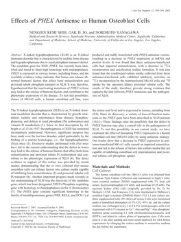 Effects of PHEX Antisense in Human Osteoblast Cells