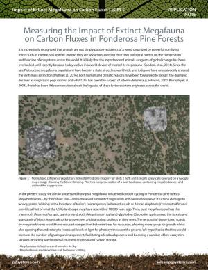 Measuring the Impact of Extinct Megafauna on Carbon Fluxes in Ponderosa Pine Forests