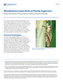 Miscellaneous Insect Pests of Florida Sugarcane 1 Gregg S