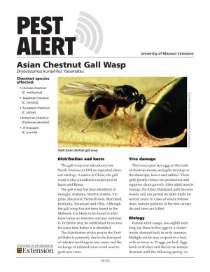 Asian Chestnut Gall Wasp Dryocosumus Kuriphilus Yasumatsu Chestnut Species Affected: • Chinese Chestnut (C