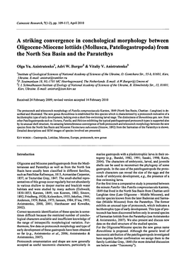 In Conchological Morphology Oligocene-Miocene Lottiids (Mollusca, Patellogastropoda) Paratethys