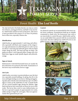 Forest Health: Elm Leaf Beetle