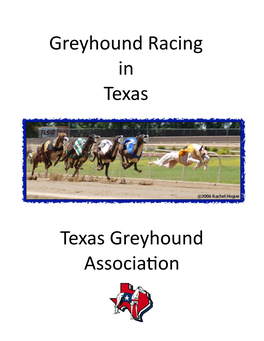 Basics of Greyhound Racing.Pub