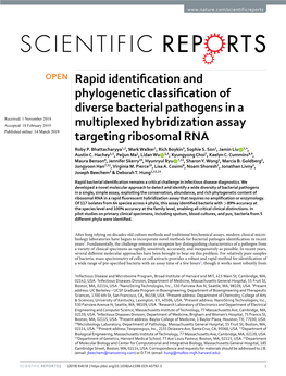 Rapid Identification and Phylogenetic Classification of Diverse Bacterial