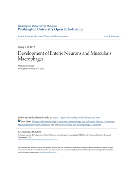 Development of Enteric Neurons and Muscularis Macrophages Marina Avetisyan Washington University in St