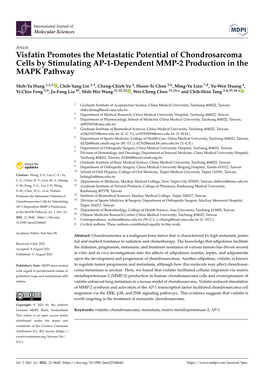 Visfatin Promotes the Metastatic Potential of Chondrosarcoma Cells by Stimulating AP-1-Dependent MMP-2 Production in the MAPK Pathway