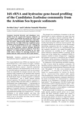 16S Rrna and Hydrazine Gene-Based Profiling of the Candidatus Scalindua Community from the Arabian Sea Hypoxic Sediments