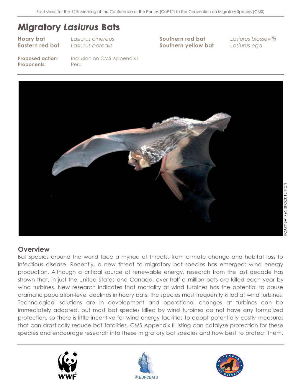 Overview Bat Species Around the World Face a Myriad of Threats, from Climate Change and Habitat Loss to Infectious Disease