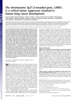 The Chromosome 3P21.3-Encoded Gene, LIMD1, Is a Critical Tumor Suppressor Involved in Human Lung Cancer Development