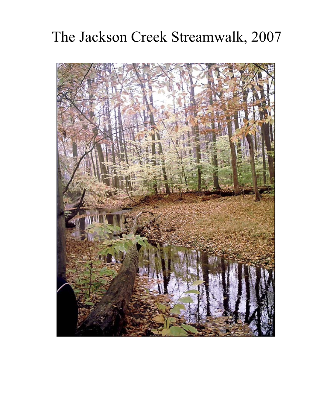 Jackson Creek Stream Walk 2007