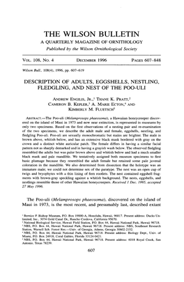 Description of Adults, Eggshells, Nestling, Fledgling, and Nest of the Poo-Uli