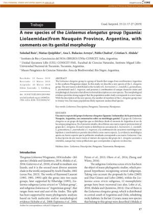 A New Species of the Liolaemus Elongatus Group (Iguania: Liolaemidae)From Neuquén Province, Argentina, with Comments on Its Genital Morphology