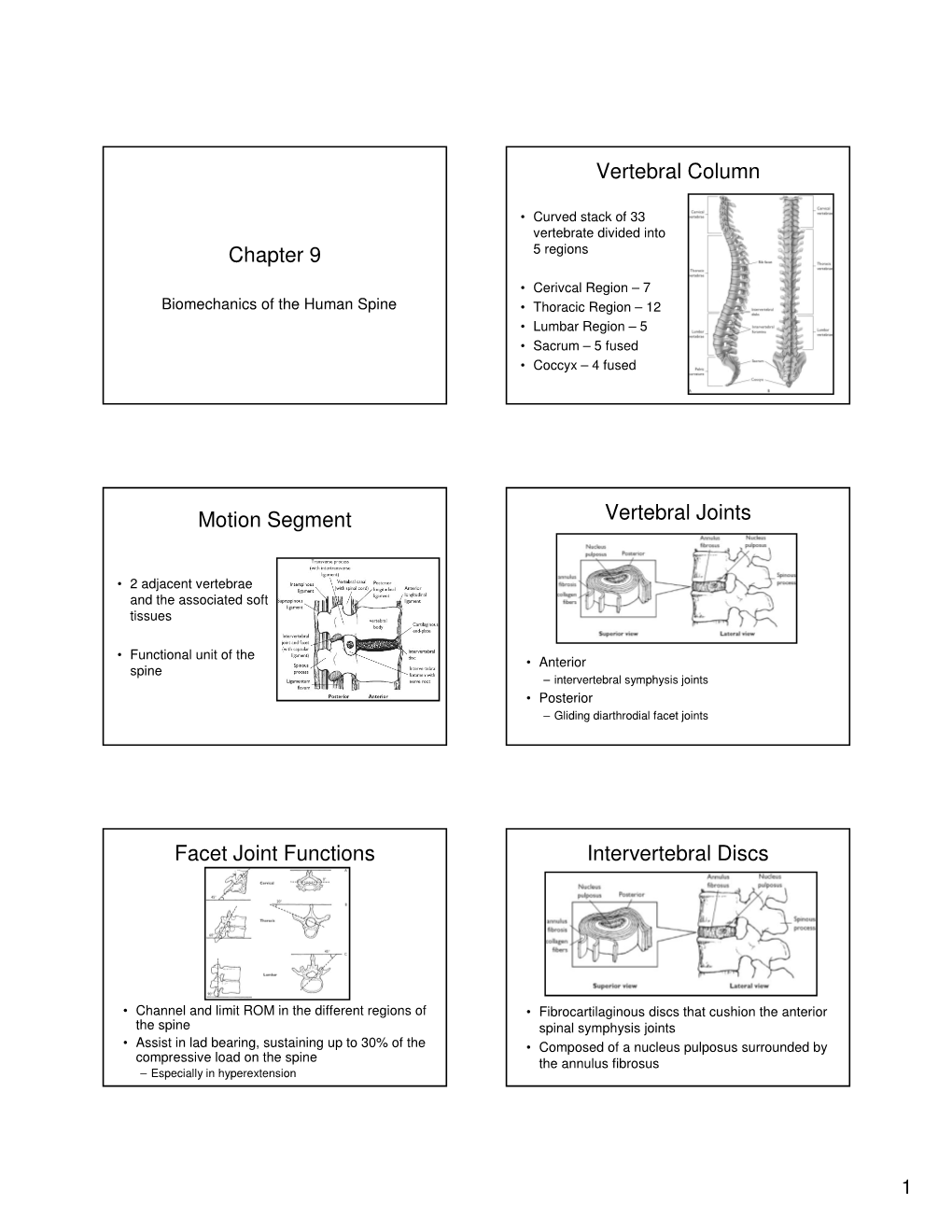 Chapter 9 Vertebral Column Motion Segment Vertebral Joints Facet Joint Functions Intervertebral Discs