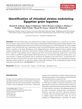 Identification of Rhizobial Strains Nodulating Egyptian Grain Legumes Hamdi H