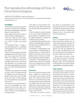 The Reproductive Phenology of Citrus. II: Citrus Floral Ontogeny