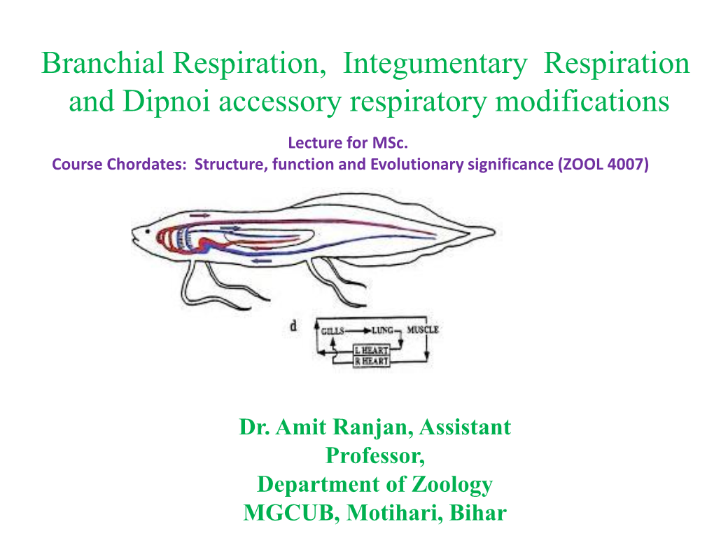 Branchial Respiration, Integumentary Respiration and Dipnoi Accessory Respiratory Modifications Lecture for Msc