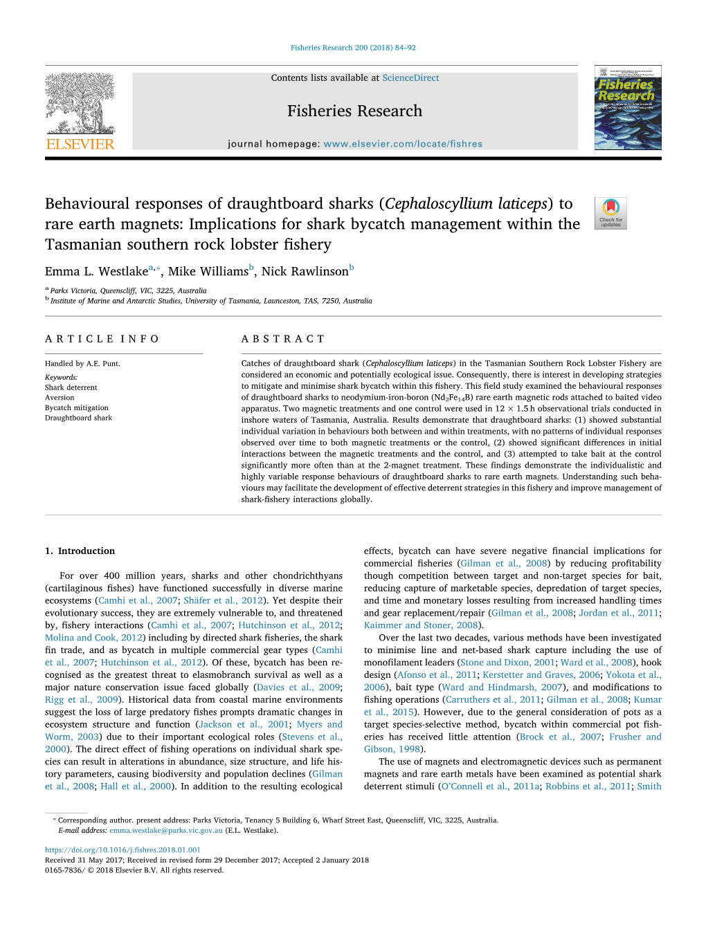 (Cephaloscyllium Laticeps) to Rare Earth Magnets