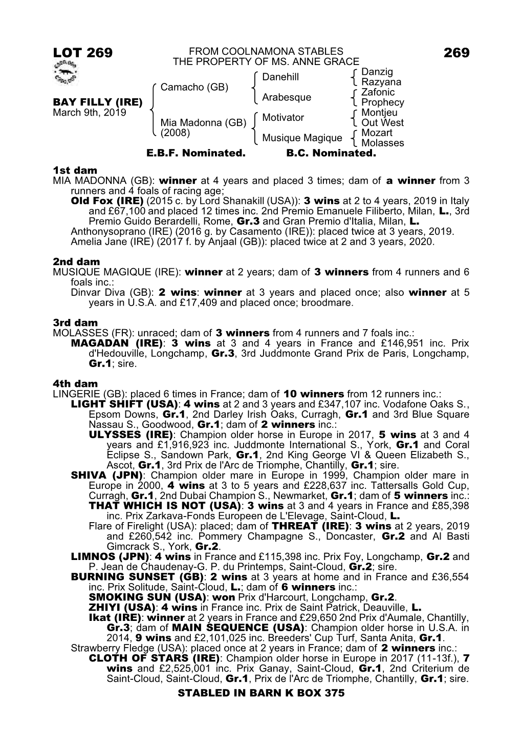 Lot 269 from Coolnamona Stables 269 the Property of Ms