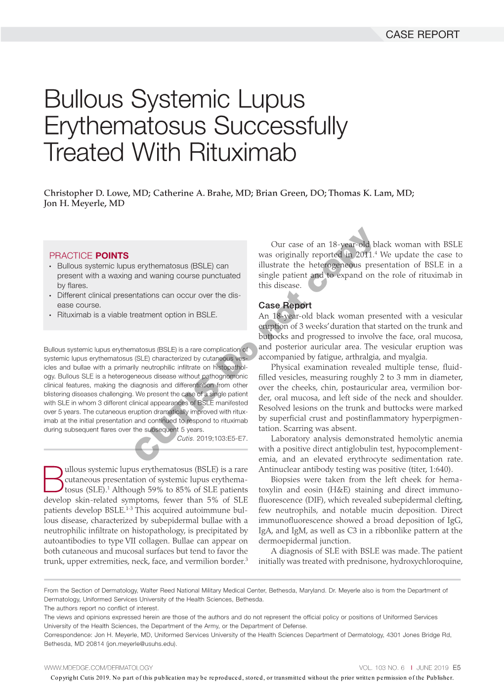 Bullous Systemic Lupus Erythematosus Successfully Treated with Rituximab