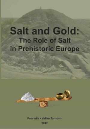 Salt in the Neolithic of Central Europe: Production and Distribution