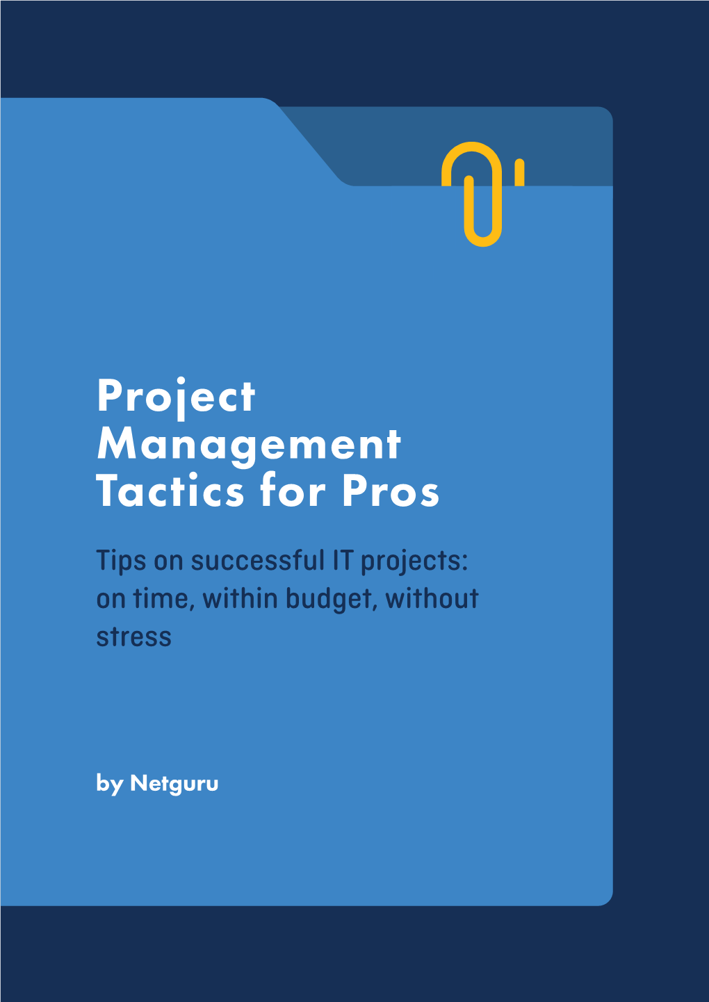 Tips on Successful IT Projects: on Time, Within Budget