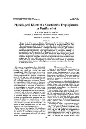 Physiological Effects of a Constitutive Tryptophanase in Bacillus Alvei