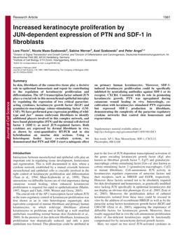Increased Keratinocyte Proliferation by JUN-Dependent Expression of PTN and SDF-1 in Fibroblasts