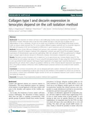 Collagen Type I and Decorin Expression in Tenocytes Depend On