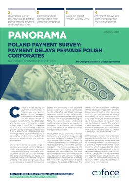 Panorama Poland Payment Survey