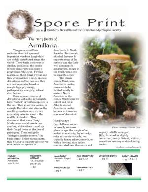Armillaria the Genus Armillaria Armillaria in North Contains About 40 Species of America