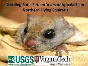 Fifteen Years of Appalachian Northern Flying Squirrels