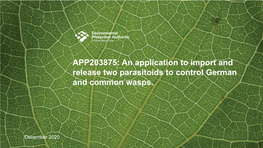 An Application to Import and Release Two Parasitoids to Control German and Common Wasps