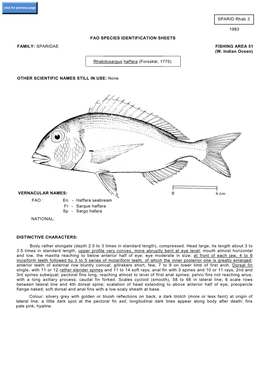 SPARID Rhab 3 1983 FAO SPECIES IDENTIFICATION SHEETS FAMILY: SPARIDAE FISHING AREA 51 (W. Indian Ocean) Rhabdosargus Haffara