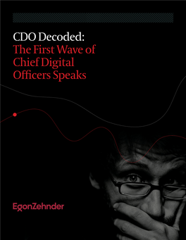 CDO Decoded: the First Wave of Chief Digital Officers Speaks 2