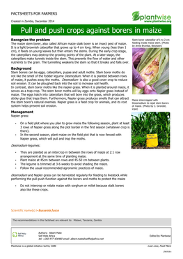 Pull and Push Crops Against Borers in Maize