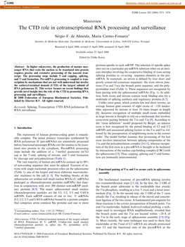 The CTD Role in Cotranscriptional RNA Processing and Surveillance