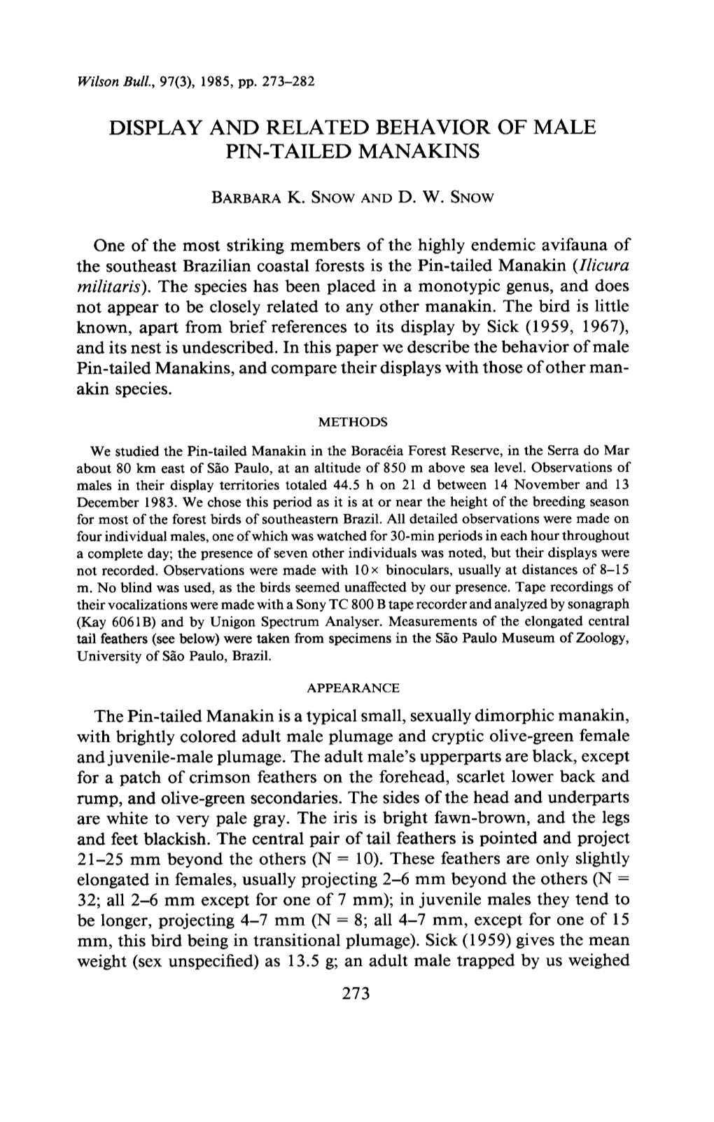 Display and Related Behavior of Male Pin-Tailed Manakins