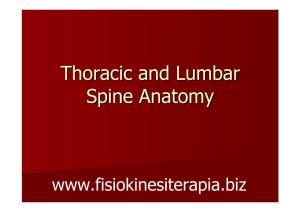 Thoracic and Lumbar Spine Anatomy