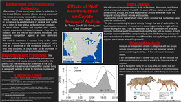 Effects of Wolf Reintroduction on Coyote Temporal Activity