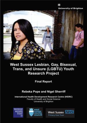 West Sussex Lesbian, Gay, Bisexual, Trans, and Unsure (LGBTU) Youth Research Project