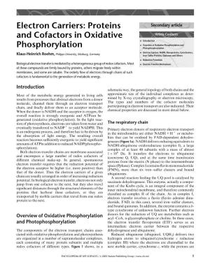 Electron Carriers: Proteins and Cofactors in Oxidative Phosphorylation